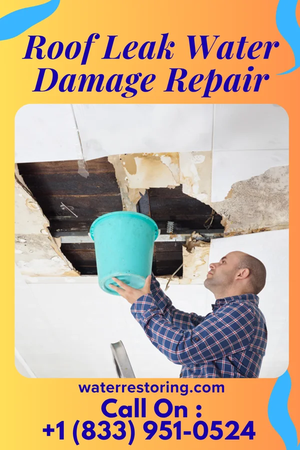 Roof Leak Water Damage Repair in Lake Forest, IL